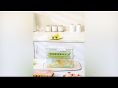 GJ2817 氷のトレイ